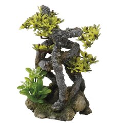 Akvaarion koristelu, twistbonsai 11x11x17,5cm hinta ja tiedot | Akvaariokasvit ja akvaariokoristeet | hobbyhall.fi