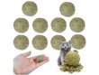 10x Kissat lelu pallo pallo pallo pallo pallo hinta ja tiedot | Kissan lelut | hobbyhall.fi