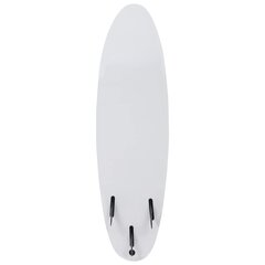 vidaXL Surffilauta 170 cm raita hinta ja tiedot | SUP-laudat | hobbyhall.fi