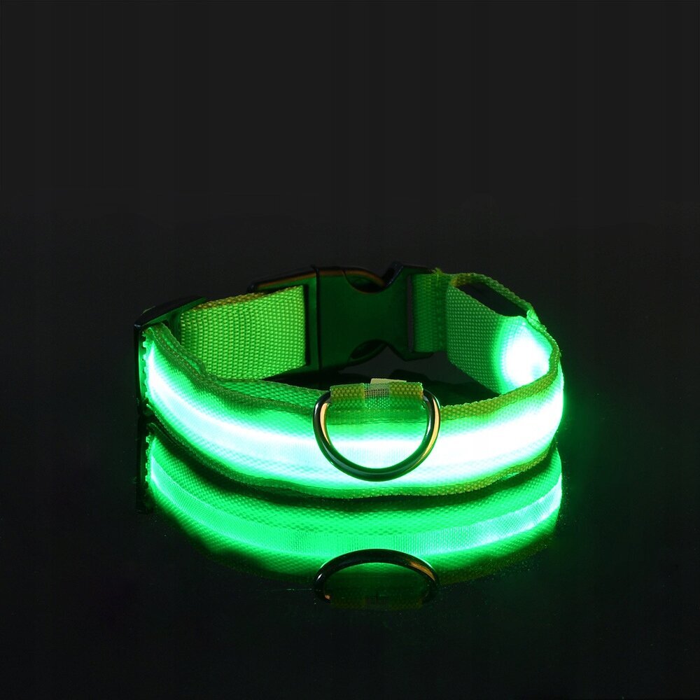 Koiran LED-kaulapanta, vedenpitävä USB-kaapeli GREEN XL 52-60cm hinta ja tiedot | Koiran valjaat ja kaulapannat | hobbyhall.fi