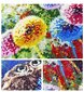 LARGE 5D DIAMOND EMBROIDIE Set Mosaiikki kuva D51 hinta ja tiedot | Timanttimaalaukset | hobbyhall.fi