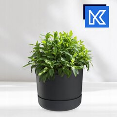 Kukkaruukku Kukkaruukku jalustalla 20cm antrasiitti hinta ja tiedot | Kukkaruukut | hobbyhall.fi