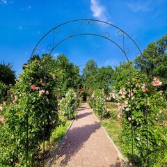 Garden Pergola metallikaari kukille ruusuille 240cm hinta ja tiedot | Kukkatelineet ja kukkapöydät | hobbyhall.fi