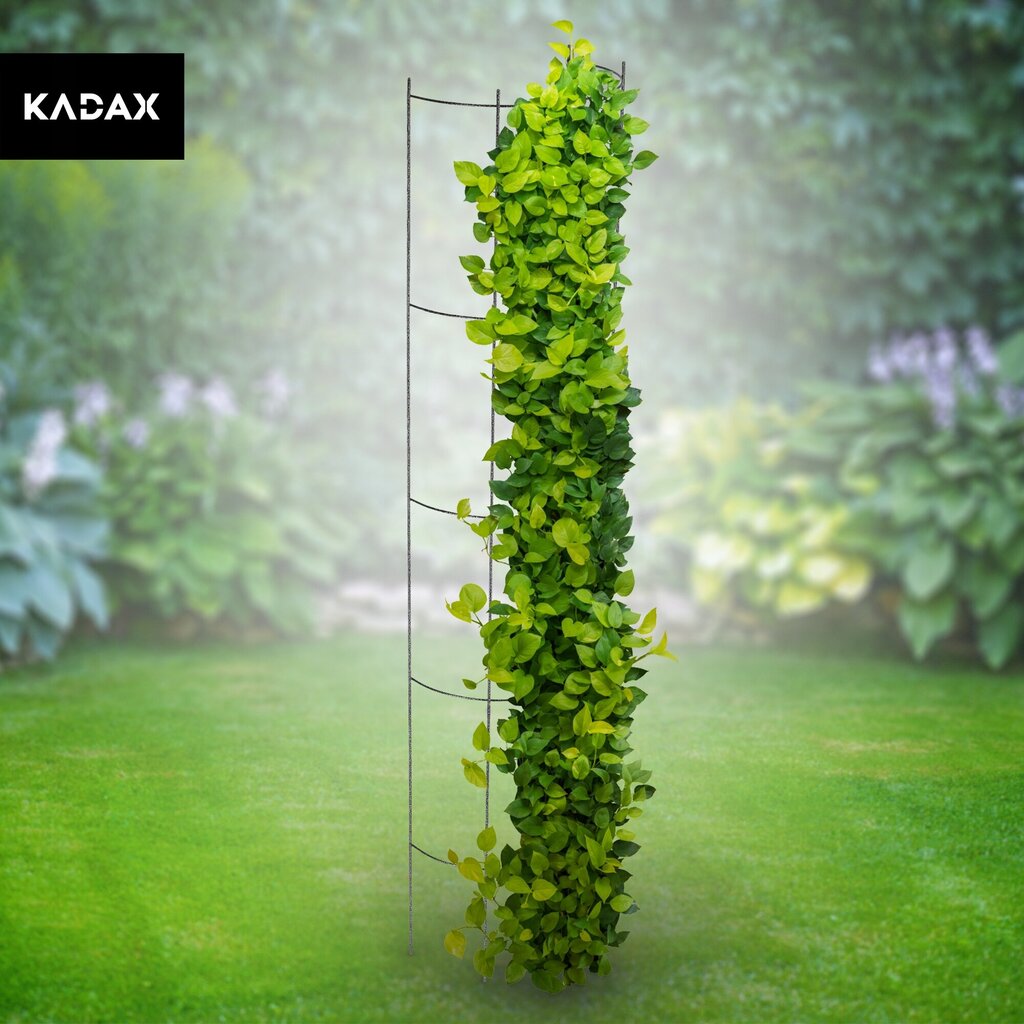 Pergola puutarhapylväs kukille Ruusuille 120 cm hinta ja tiedot | Puutarhapaviljongit | hobbyhall.fi