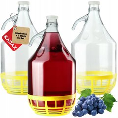 Balloon Carboy lasipullo 5L 3kpl hinta ja tiedot | Säilöntä | hobbyhall.fi