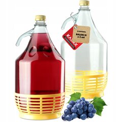 2x Wine Carboy 5L Balloon Lady In Basket -viinipullo + sulkeminen hinta ja tiedot | Säilöntä | hobbyhall.fi