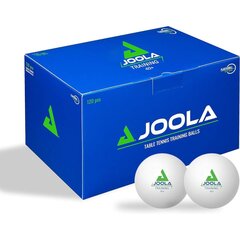 joola pöytätennispallot 120kpl. hinta ja tiedot | Pingispallot | hobbyhall.fi