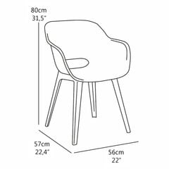 Allibert puutarhatuolit Akola, 2 kpl, vihreä hinta ja tiedot | Puutarhatuolit | hobbyhall.fi