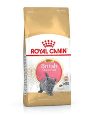 Royal Canin brittiläisille lyhytkarvaisille kissanpennuille, 10 kg hinta ja tiedot | Kissan kuivaruoka | hobbyhall.fi