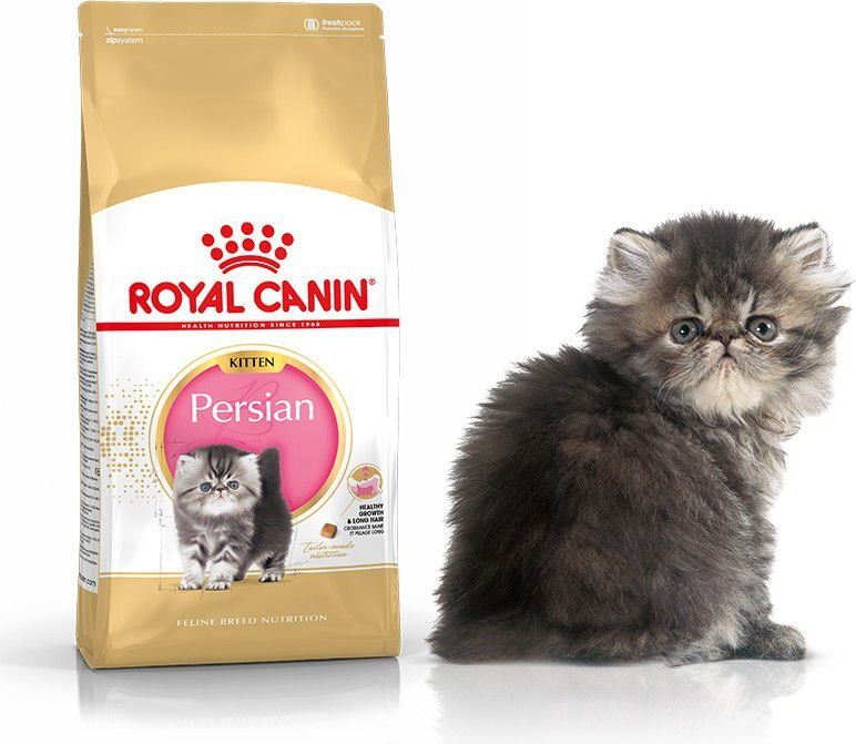 Royal Canin Persian rotu kissanpennuille, 0,4 kg hinta ja tiedot | Kissan kuivaruoka | hobbyhall.fi