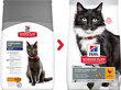 Hill's Science Plan Sterilized Cat Mature Adult kissanruoka kanan kanssa, 3 kg hinta ja tiedot | Kissan kuivaruoka | hobbyhall.fi