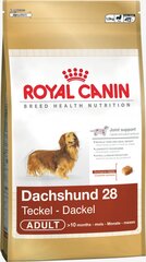 Royal Canin Dachshund Adult 0,5 kg hinta ja tiedot | Koiran kuivaruoka | hobbyhall.fi