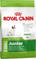 Royal Canin X-Small Junior 0,5 kg hinta ja tiedot | Koiran kuivaruoka | hobbyhall.fi