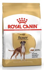 Royal Canin nyrkkeilijöille Boxer, 12 kg hinta ja tiedot | Koiran kuivaruoka | hobbyhall.fi