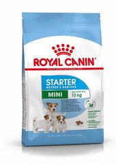 Royal Canin Mini Starter Mother&Babydog kuivaruoka enintään 2 kk:n ikäisille pennuille ja imettäville nartuille pienille roduille 1kg hinta ja tiedot | Koiran kuivaruoka | hobbyhall.fi