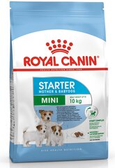 Royal Canin Mini, 8,5 kg hinta ja tiedot | Koiran kuivaruoka | hobbyhall.fi