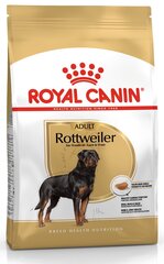 Royal Canin rottweilereille Rottweiler, 12 kg hinta ja tiedot | Koiran kuivaruoka | hobbyhall.fi