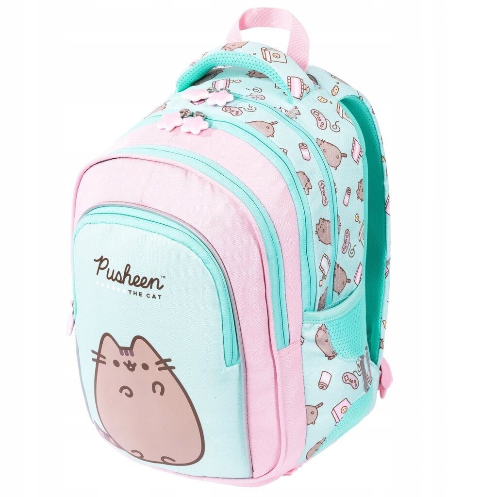 Esikoululaisen reppu 39 x 28 x 16 cm, 22l hinta ja tiedot | Koulureput ja -laukut | hobbyhall.fi