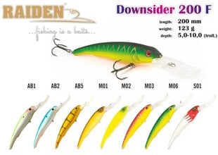 Wobbler Raiden Downsider 200F 123g M01 hinta ja tiedot | Vieheet ja uistimet | hobbyhall.fi