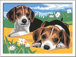 Ravensburger creart Jack Russell Puppy Pautn By Children for Children - maalaustaiteet ja käsityöpaketit 7 -vuotiaana ylöspäin hinta ja tiedot | Maalaa numeroiden mukaan | hobbyhall.fi