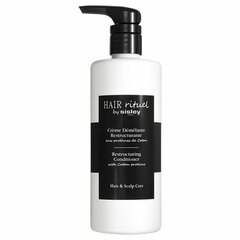 Hiustenhoitoaine Hair Rituel By Sisley, 500 ml hinta ja tiedot | Hoitoaineet | hobbyhall.fi