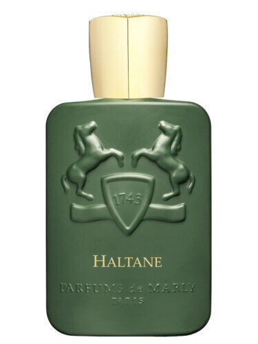 Tuoksuvesi Parfums De Marly Haltane EDP miehille, 125 ml hinta ja tiedot | Miesten hajuvedet | hobbyhall.fi