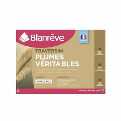 Blanreve tyyny hinta ja tiedot | Blanreve Kodintekstiilit | hobbyhall.fi