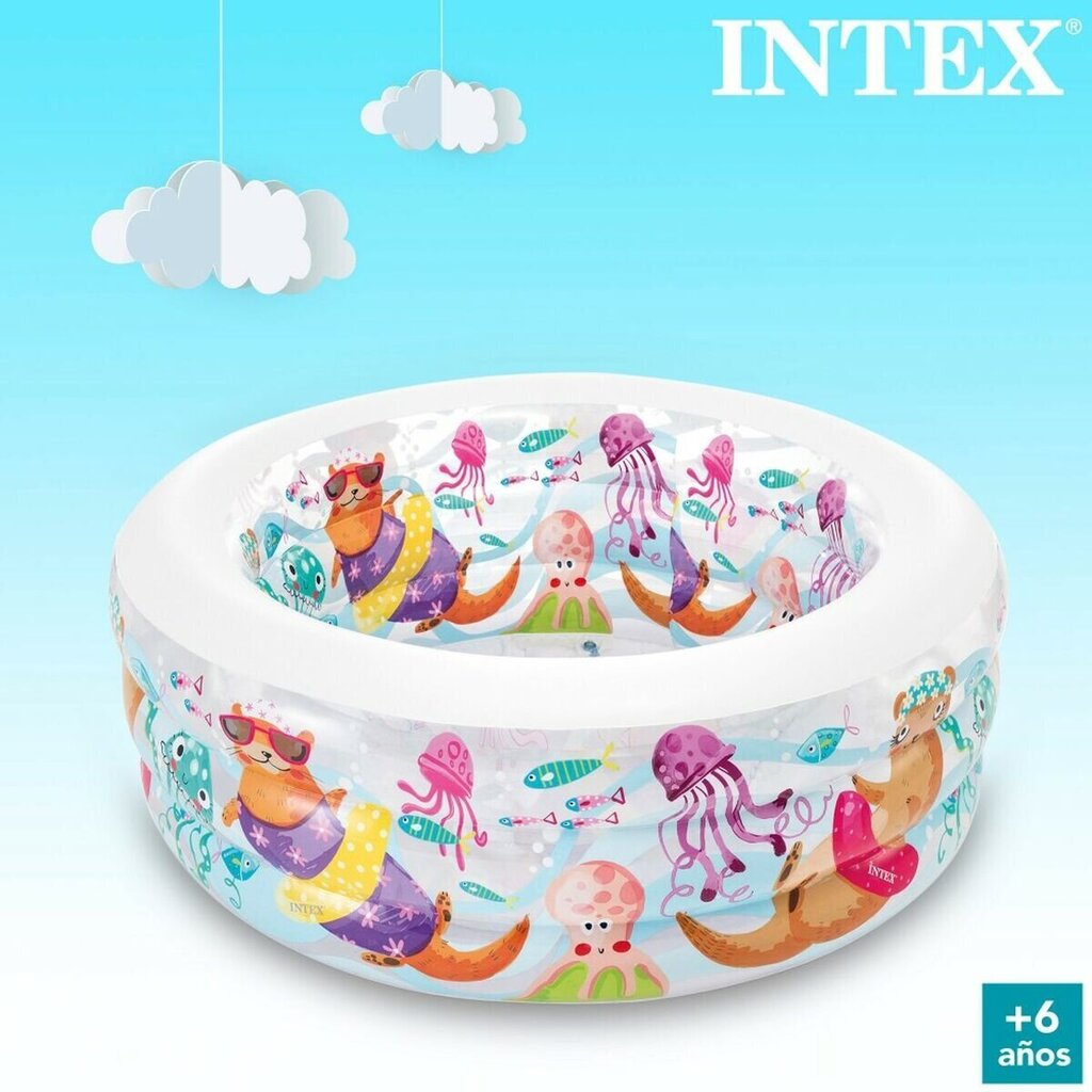 Ilmatäytteinen lastenallas Intex, 152x56x152cm, eri värejä hinta ja tiedot | Uima-altaat | hobbyhall.fi