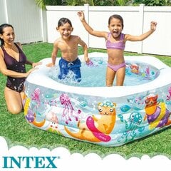 Ilmatäytteinen allas Intex Acuario, 191x61x178cm hinta ja tiedot | Uima-altaat | hobbyhall.fi