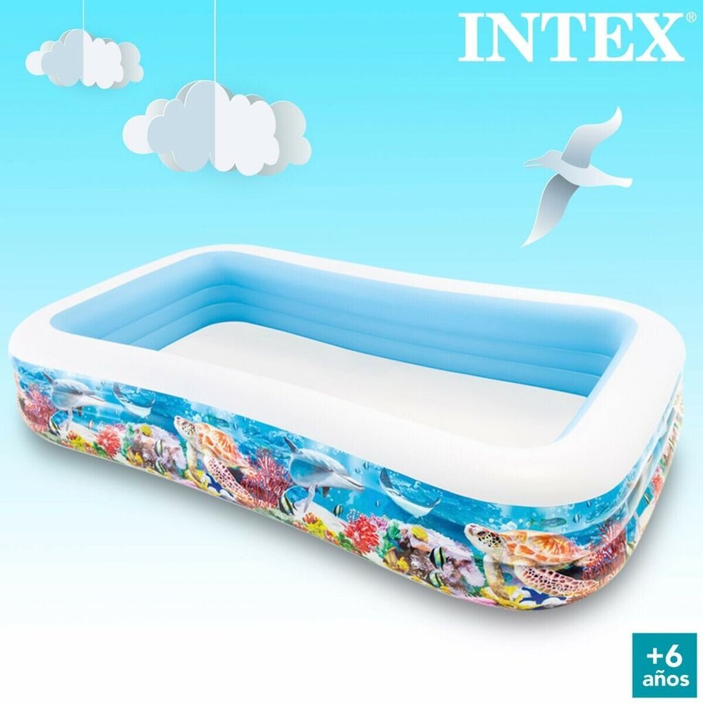 Ilmatäytteinen allas Intex, 305x56x183cm hinta ja tiedot | Uima-altaat | hobbyhall.fi