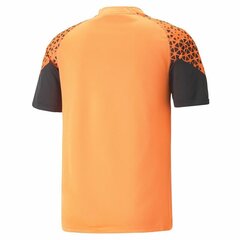 Miesten urheilupaita Puma Individual Cup Training, oranssi hinta ja tiedot | Jalkapallovaatteet ja -varusteet | hobbyhall.fi