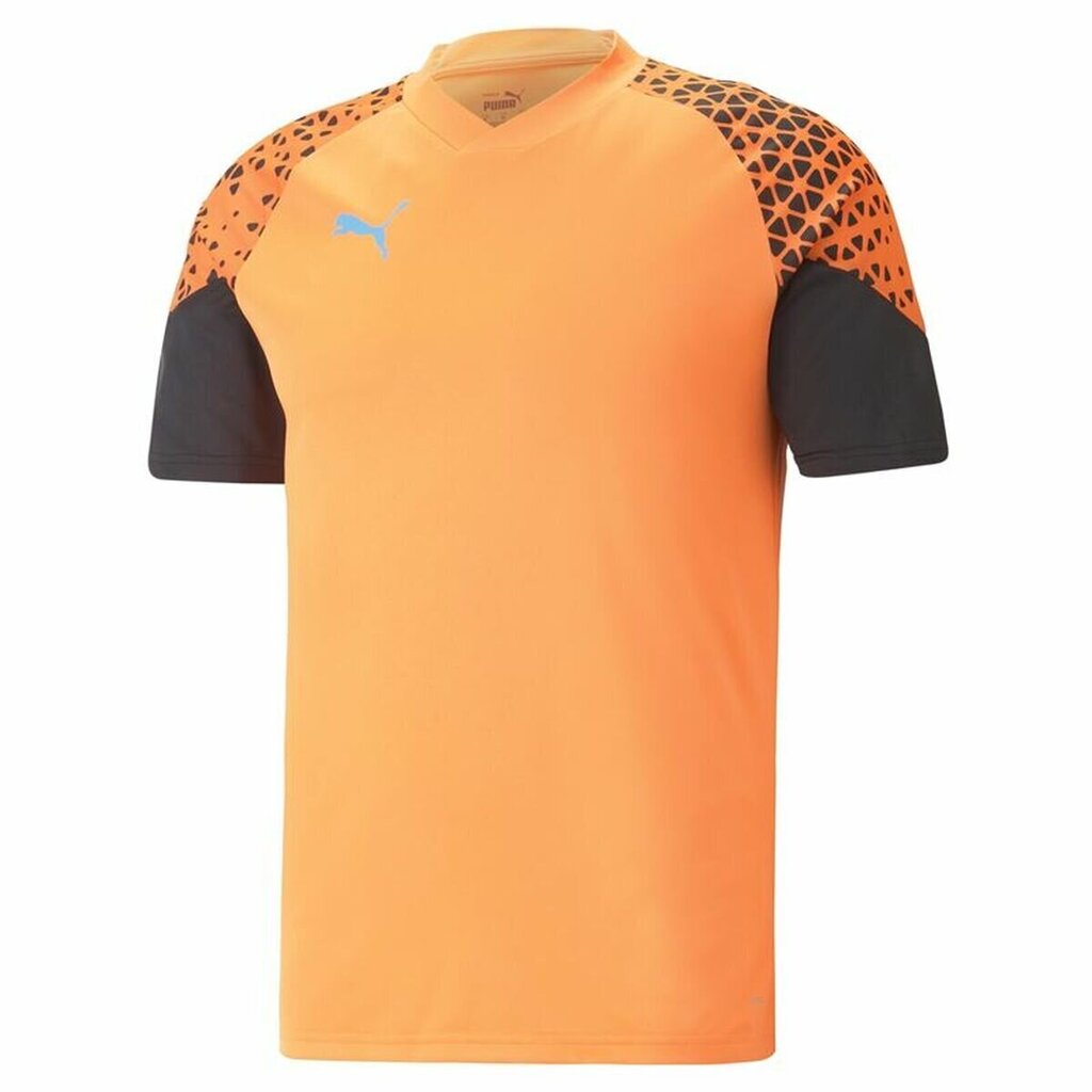 Miesten urheilupaita Puma Individual Cup Training, oranssi hinta ja tiedot | Jalkapallovaatteet ja -varusteet | hobbyhall.fi