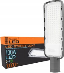 Street Luminaire 100W 1000 LM hinta ja tiedot | Puutarha- ja ulkovalot | hobbyhall.fi