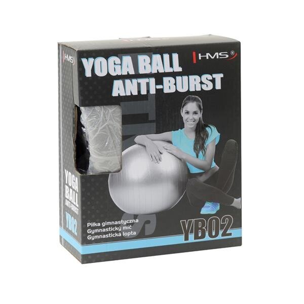 Voimistelupallo HMS YB02N Gym Ball 75 cm, harmaa hinta ja tiedot | Voimistelupallot | hobbyhall.fi