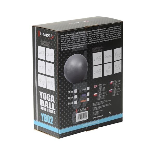 Voimistelupallo HMS YB02N Gym Ball 75 cm, harmaa hinta ja tiedot | Voimistelupallot | hobbyhall.fi