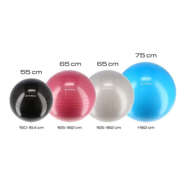 Voimistelupallo HMS YB01N Gym Ball 65 cm, harmaa hinta ja tiedot | Voimistelupallot | hobbyhall.fi