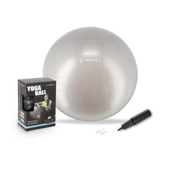 Voimistelupallo HMS YB01N Gym Ball 65 cm, harmaa hinta ja tiedot | Voimistelupallot | hobbyhall.fi