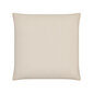 Ekologinen tattarityyny 60x60cm RLGE66 3,8 kg beige hinta ja tiedot | Tyynyt | hobbyhall.fi