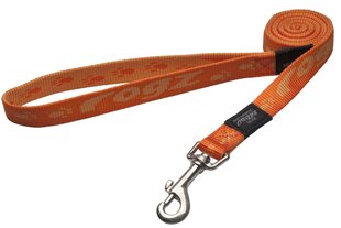 Kävelyhihna Alpinist Large 20mm K2, oranssi hinta ja tiedot | Koiran talutushihnat | hobbyhall.fi