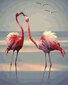 Maalaa numeroittain Flamingopari Tapymas.lt 40x50 cm hinta ja tiedot | Maalaa numeroiden mukaan | hobbyhall.fi