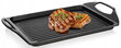 Grillilautanen 45x27cm hinta ja tiedot | Grillitarvikkeet ja -välineet | hobbyhall.fi