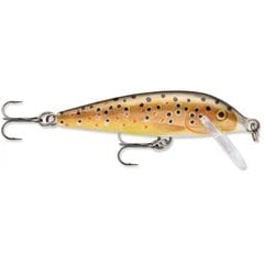 Viehe CountDown 7cm/8g/1,5-2,4m TR hinta ja tiedot | Rapala Urheilu ja vapaa-aika | hobbyhall.fi