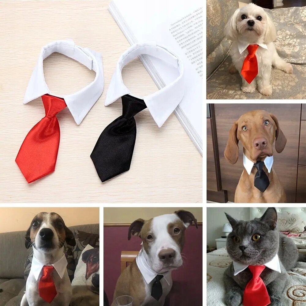 DOG CAT TIES Universal Velcro ELEGANT WEDDING SUIT koko S hinta ja tiedot | Koiran vaatteet | hobbyhall.fi