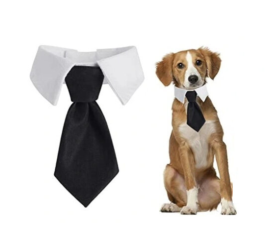 DOG CAT TIES Universal Velcro ELEGANT WEDDING SUIT koko S hinta ja tiedot | Koiran vaatteet | hobbyhall.fi