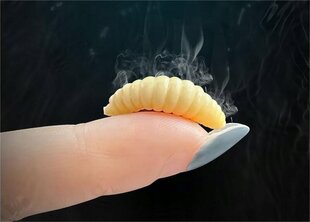 Keinotekoinen Worms VALKOINEN vieheet PINKA perhokalastus vieheet LARVES Set of 100pcs hinta ja tiedot | Vieheet ja uistimet | hobbyhall.fi