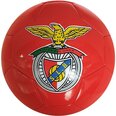 Benfica Urheilu ja vapaa-aika internetistä