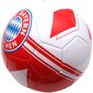 bayern münchen jalkapallopallo r.5 hinta ja tiedot | Jalkapallot | hobbyhall.fi