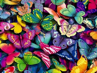 Maalaus numeroiden mukaan "Butterflies" 30x40 hinta ja tiedot | Maalaa numeroiden mukaan | hobbyhall.fi