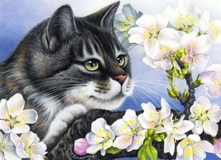 Maalaus numeroiden mukaan "A cat in an apple tree in bloom" 30x40 hinta ja tiedot | Maalaa numeroiden mukaan | hobbyhall.fi