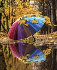 Maalaus numeroiden mukaan "Rainbow umbrella" 40x50 hinta ja tiedot | Maalaa numeroiden mukaan | hobbyhall.fi